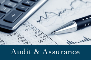Business assurance service and Auditing in Sri Lanka